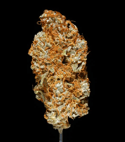 Ed Rosenthal Super Bud