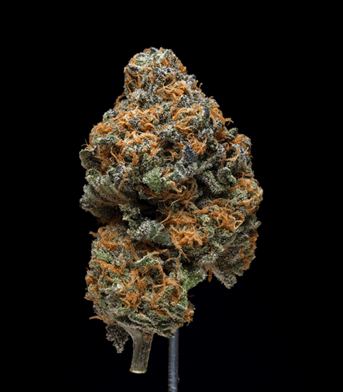 Grape Ape