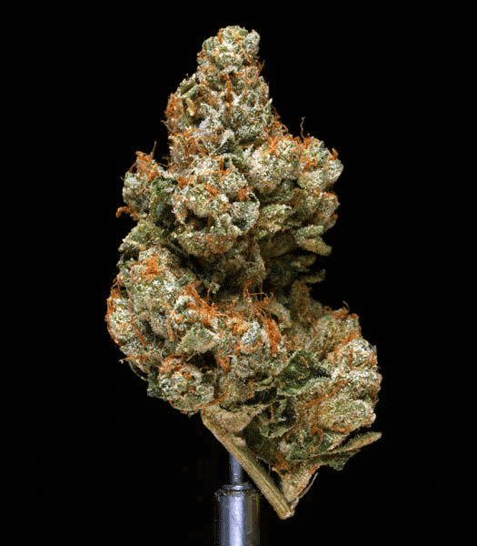 OG Kush