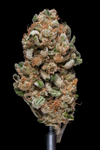Sky Walker OG